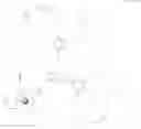 Fig. 42 - Dendritic chelated compounds, methods for making the same and pharmaceutical compositions containing the same