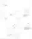 Fig. 80 - Dendritic chelated compounds, methods for making the same and pharmaceutical compositions containing the same
