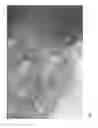 Fig. 23 - Nanoparticle clusters and methods for forming same