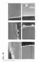 Fig. 03 - TREATING HYPERKALEMIA WITH CROSSLINKED CATION EXCHANGE POLYMERS OF IMPROVED PHYSICAL PROPERTIES