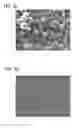 Fig. 08 - TREATING HYPERKALEMIA WITH CROSSLINKED CATION EXCHANGE POLYMERS OF IMPROVED PHYSICAL PROPERTIES