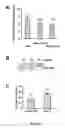 Fig. 02 - ANTI-VPAC1 ANTIBODIES AND THEIR USES
