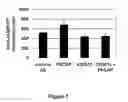 Fig. 08 - ANTI-VPAC1 ANTIBODIES AND THEIR USES