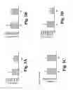 Fig. 04 - Methods of treating Parkinson's disease using viral vectors