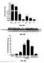 Fig. 03 - Method for preventing and treating cardiovascular diseases with BRCA1