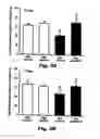 Fig. 04 - Method for preventing and treating cardiovascular diseases with BRCA1