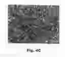 Fig. 07 - Method for preventing and treating cardiovascular diseases with BRCA1