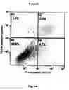 Fig. 08 - Method for preventing and treating cardiovascular diseases with BRCA1