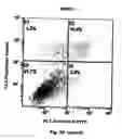 Fig. 09 - Method for preventing and treating cardiovascular diseases with BRCA1