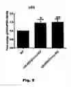 Fig. 15 - Method for preventing and treating cardiovascular diseases with BRCA1