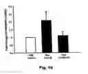 Fig. 16 - Method for preventing and treating cardiovascular diseases with BRCA1