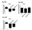 Fig. 32 - Method for preventing and treating cardiovascular diseases with BRCA1