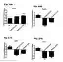 Fig. 33 - Method for preventing and treating cardiovascular diseases with BRCA1