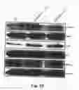 Fig. 34 - Method for preventing and treating cardiovascular diseases with BRCA1