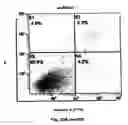 Fig. 36 - Method for preventing and treating cardiovascular diseases with BRCA1