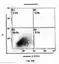 Fig. 40 - Method for preventing and treating cardiovascular diseases with BRCA1