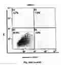 Fig. 41 - Method for preventing and treating cardiovascular diseases with BRCA1