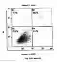 Fig. 43 - Method for preventing and treating cardiovascular diseases with BRCA1