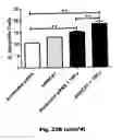 Fig. 44 - Method for preventing and treating cardiovascular diseases with BRCA1