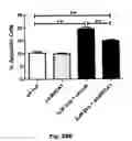 Fig. 46 - Method for preventing and treating cardiovascular diseases with BRCA1