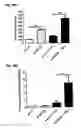 Fig. 52 - Method for preventing and treating cardiovascular diseases with BRCA1