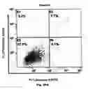 Fig. 53 - Method for preventing and treating cardiovascular diseases with BRCA1