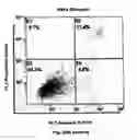 Fig. 55 - Method for preventing and treating cardiovascular diseases with BRCA1