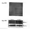 Fig. 58 - Method for preventing and treating cardiovascular diseases with BRCA1