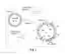 Fig. 03 - Method of preventing fat graft resorption by administering fat-derived cells and poloxamer P 188