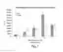 Fig. 07 - Method of preventing fat graft resorption by administering fat-derived cells and poloxamer P 188
