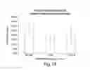 Fig. 15 - Method of preventing fat graft resorption by administering fat-derived cells and poloxamer P 188
