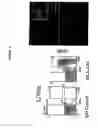 Fig. 12 - CELLULAR COMPOSITIONS AND METHODS OF MAKING AND USING THEM