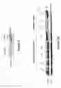 Fig. 09 - Selective cell therapy for the treatment of renal failure
