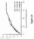 Fig. 17 - Selective cell therapy for the treatment of renal failure