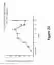 Fig. 22 - Selective cell therapy for the treatment of renal failure