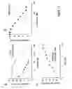Fig. 12 - CLEAVAGE OF BIP BY SUBTILASE CYTOTOXIN