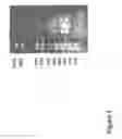 Fig. 02 - PEPTIDE AND USES THEREOF