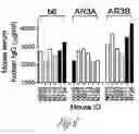 Fig. 09 - HCV neutralizing epitopes
