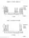 Fig. 16 - HCV neutralizing epitopes