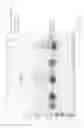 Fig. 17 - HCV neutralizing epitopes