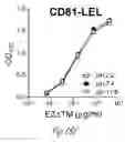 Fig. 25 - HCV neutralizing epitopes
