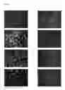 Fig. 04 - Epitope-tag surface expressed proteins and nucleic acids thereof