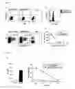 Fig. 09 - Epitope-tag surface expressed proteins and nucleic acids thereof