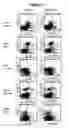 Fig. 09 - Optimized antibodies that target HM1.24