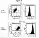 Fig. 10 - Optimized antibodies that target HM1.24