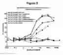 Fig. 11 - Optimized antibodies that target HM1.24