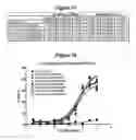 Fig. 20 - Optimized antibodies that target HM1.24