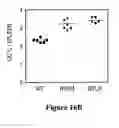 Fig. 23 - Compositions and methods for modulating responses mediated or associated with BTLA activity