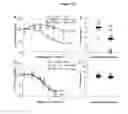Fig. 46 - Compositions and methods for modulating responses mediated or associated with BTLA activity