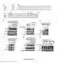 Fig. 07 - Botulinum neurotoxin E receptors and uses thereof
